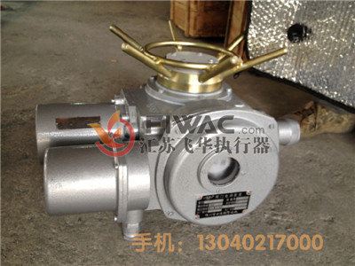 DZW250-24 DZT250-24 תʽ綯ִ