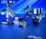 Ӣ˹ɯSpiraxSarco