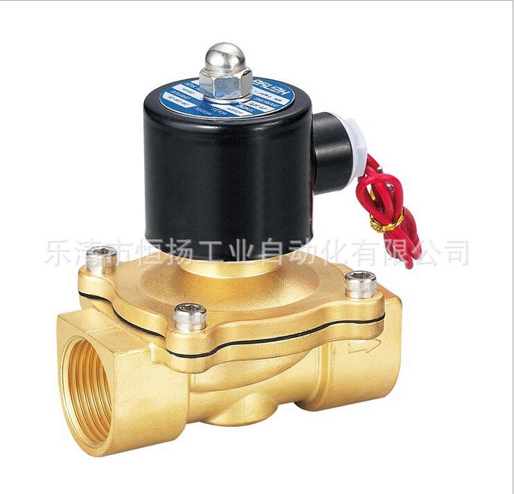 ؼֻһͭˮ2W250-25DC24V