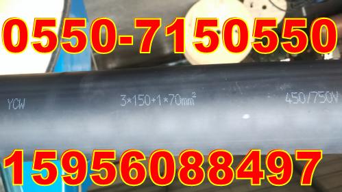 ҹӦYCW-450/750V3*150+1*70