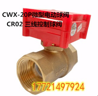 CWX-20P綯΢ͭ