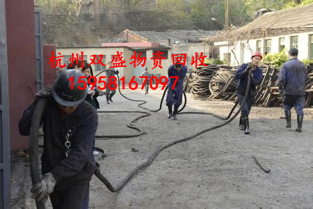 ³豸Ż