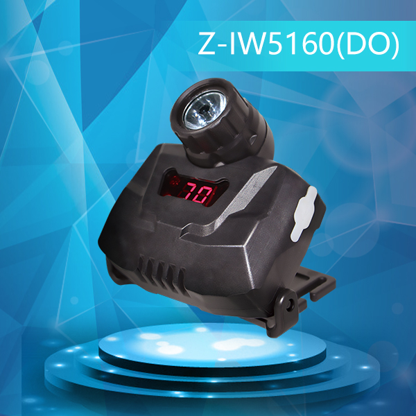 Z-IW5160  ๦ǿͷ