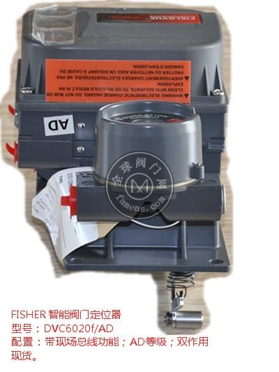 ֻFISHERܷŶλDVC6020f/AD