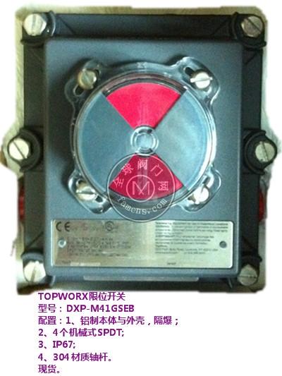 TOPWORXλDXP-M41GSEB
