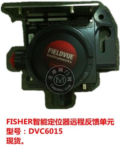 ֻFISHERܷŶλDVC6015