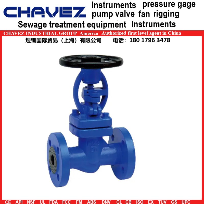 CHAVEZΤ˹ ڱ½ֹ   ˿  ͸ѹ 綯 ͸