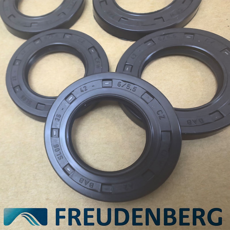 ͷFREUCENBERG շԴ