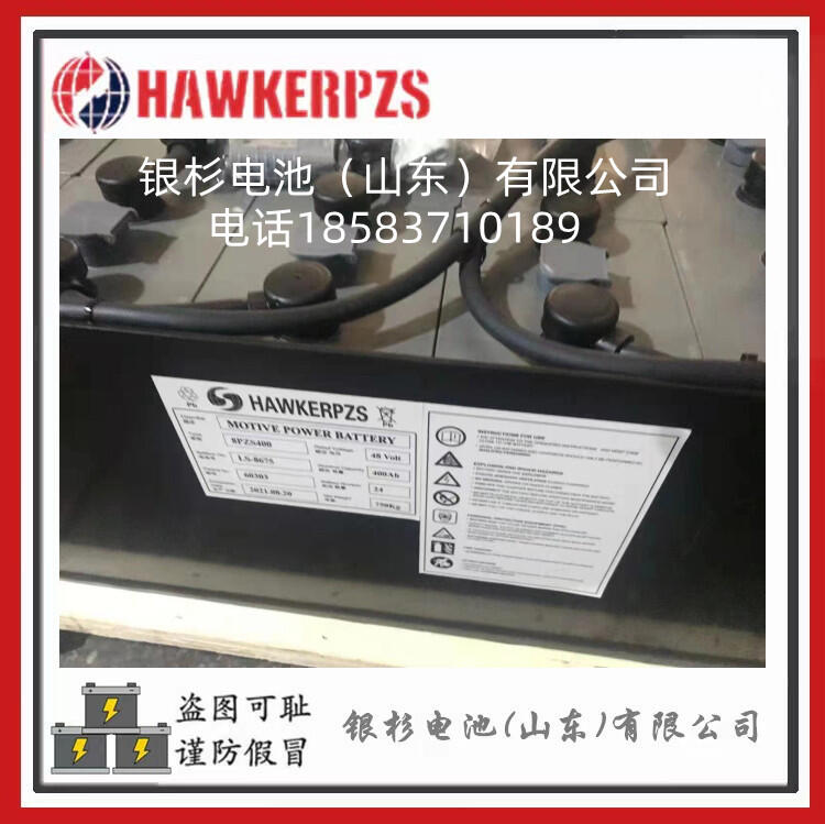 ӢHAWKER泵4pzs620 36V775AHԭװֻ