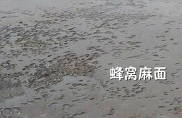 ·޲϶Ǯһ2023