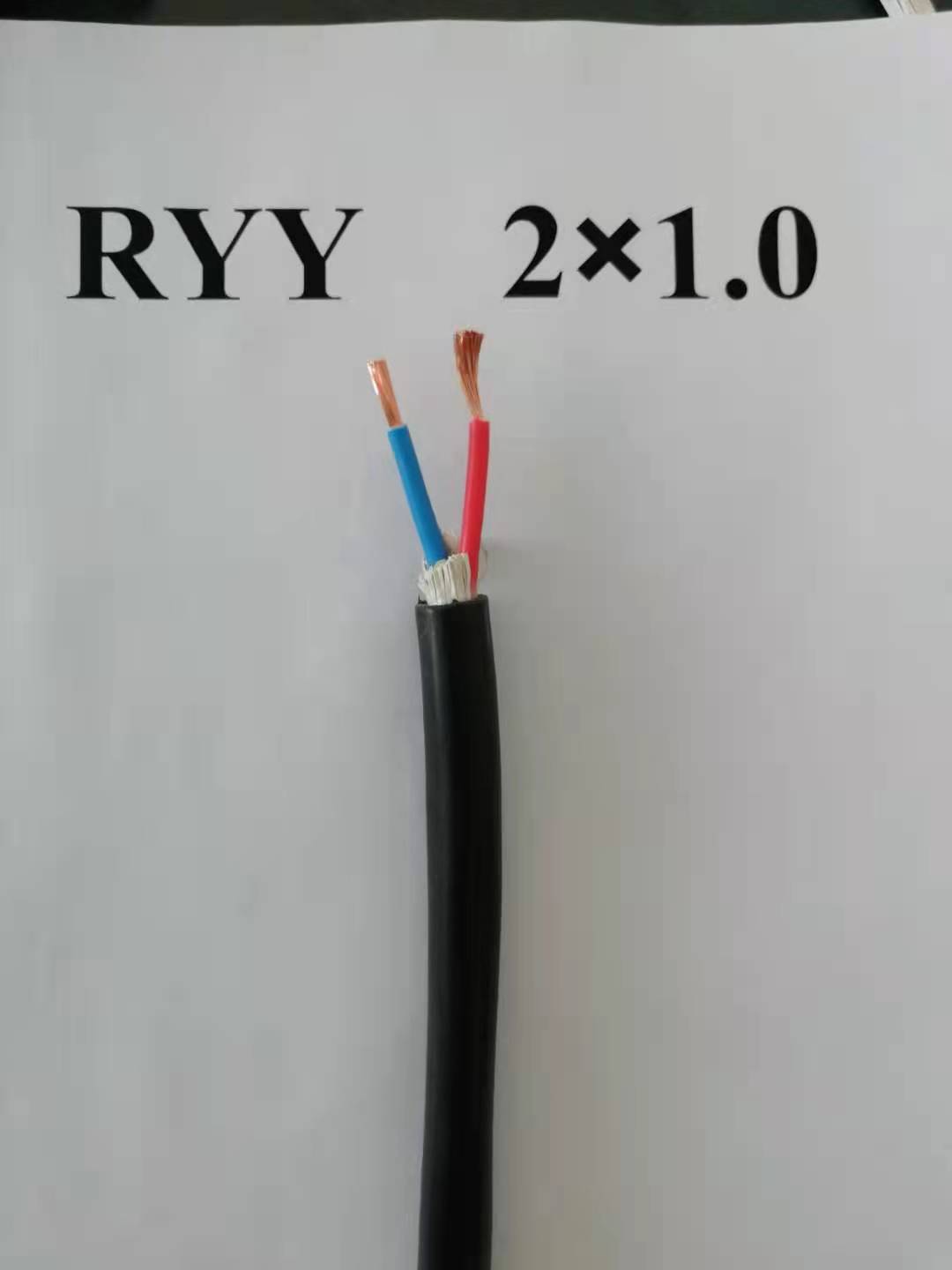 ԴWDZ-RV-2.5