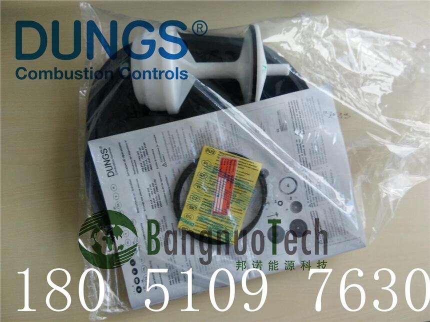 ˹ DUNGS  ѹ FRS5100  ĤƬ άް