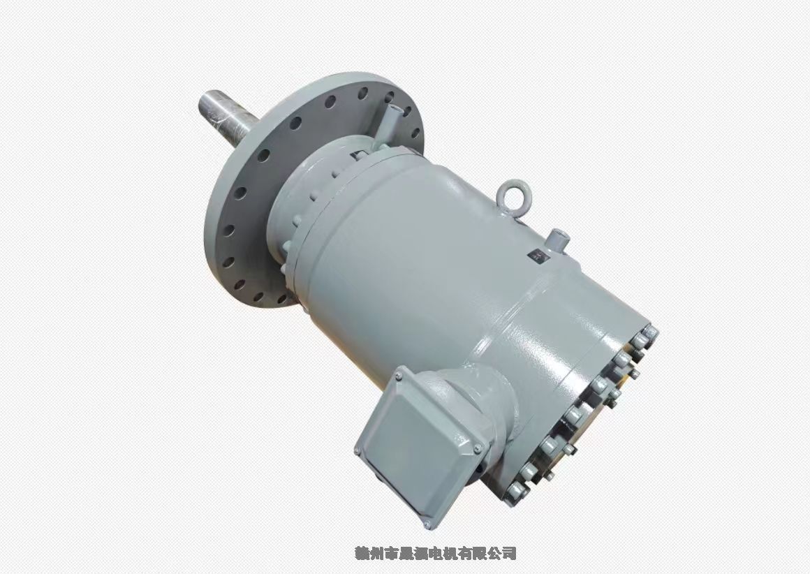 ˮIP67ȼ380V90KW10첽綯