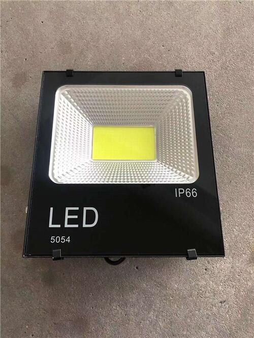 ZY118-LED100wͶ ͶLEDZY118/50W