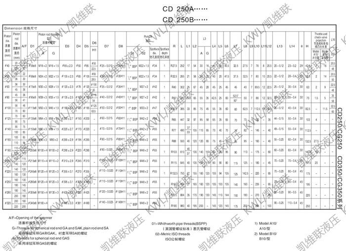 CD250E100/70-1600,Һѹ,רҵ|