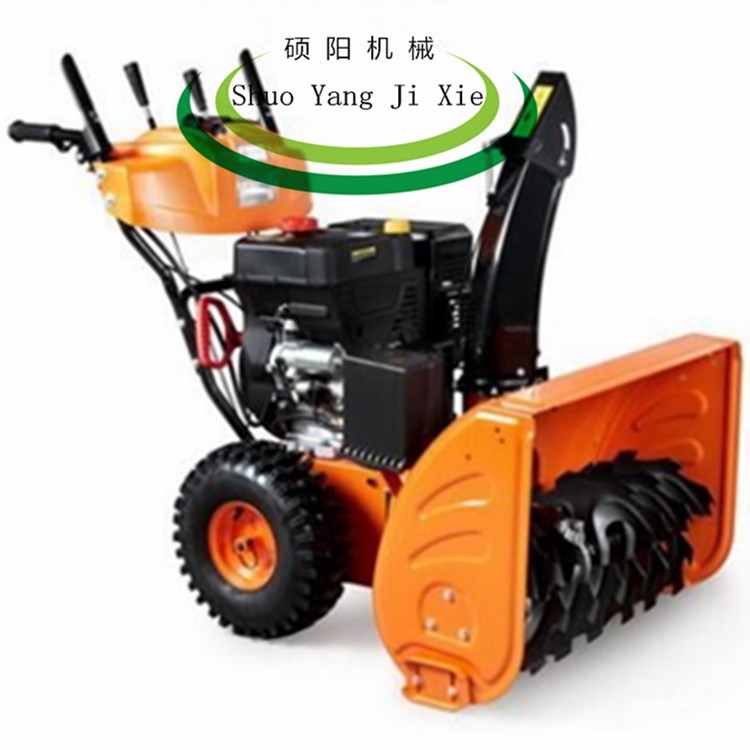 SYCX-D102ѩ ѩ