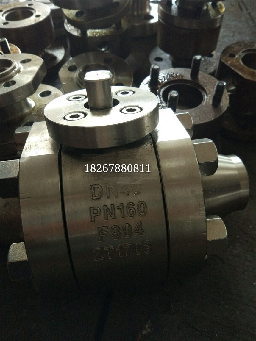 Q61F-160Pѹ304ֻ