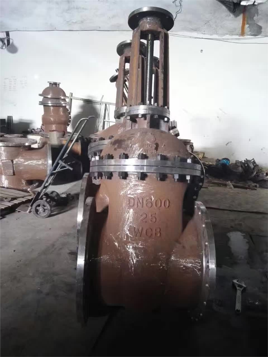 DN300-DN1200բ