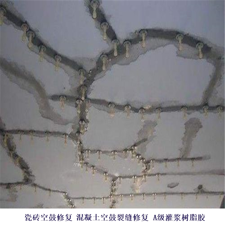 Ϻ¬廷ע_Ϻ¬ѷ޲