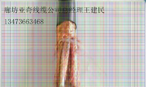 ɽWDZC-HYA23-20*2*0.5Ʒ