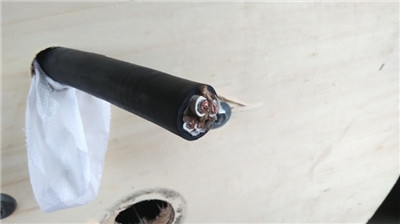 ZR-KX-HS-FFPGR-1*2*1.5²߳ҵͼ