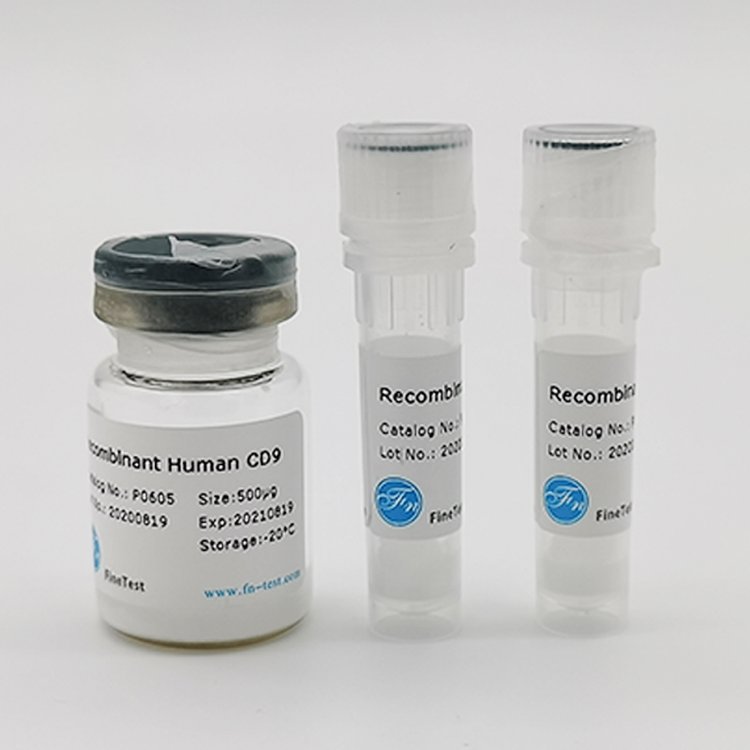 ȮIL-1RA鵰(RecombinantDogIL-1RA)