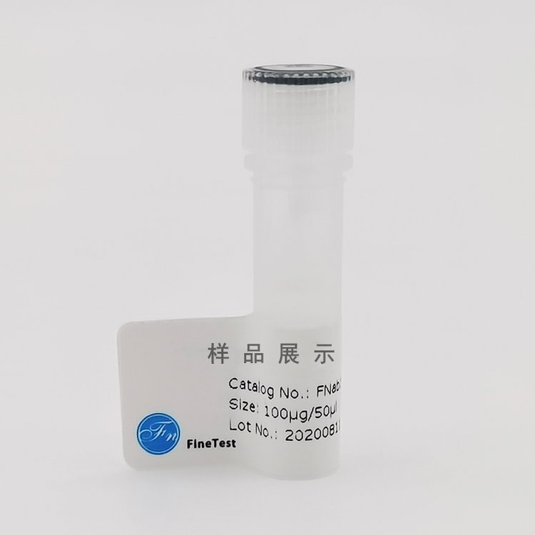 BCL2L1(anti-BCL2L1antibody)