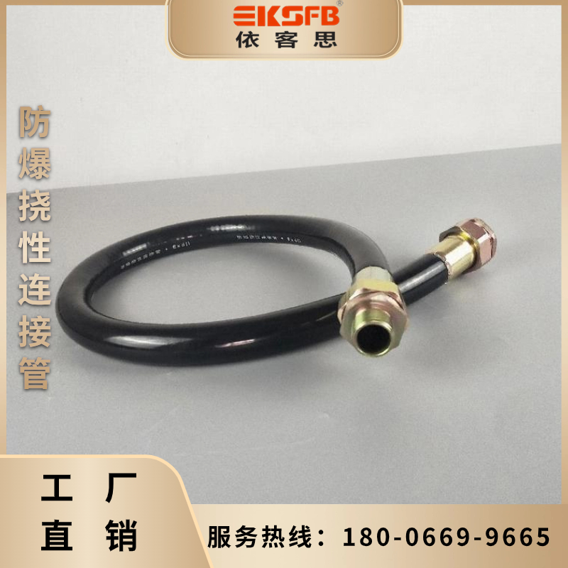 ˼ӹBNG-DN25*1000mm-M36*2-G1\/ExdIIC