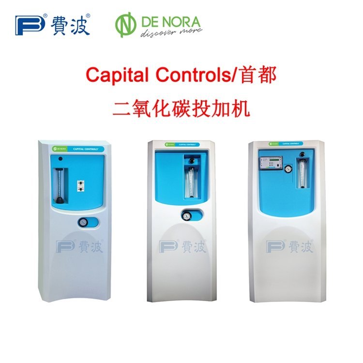 DenoraŵCapitalControls׶5200B̼Ͷϵͳ