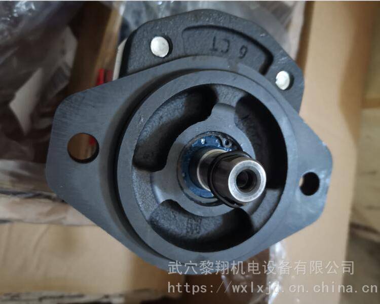 意大利马祖奇齿轮泵GHPA2A-D-13-FG GHPP2-D-16-FG