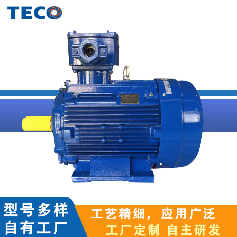 TECOԪTEBYϵIE3Ч0.18kW~355kW