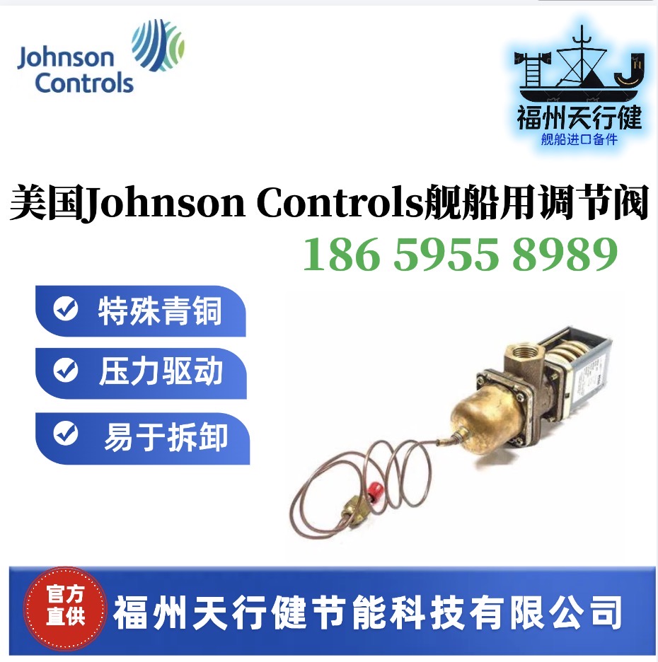 V46BE-9600ԭװJohnsonControlsõڷͭ