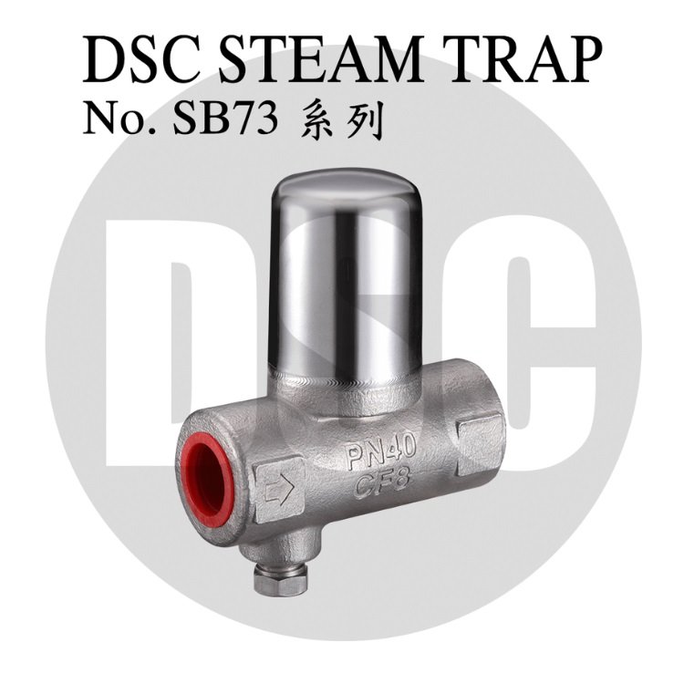 DSC-SB73Fϵȫ˫²ʽˮ32KDN15-20